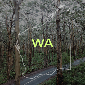 WA drug driving information